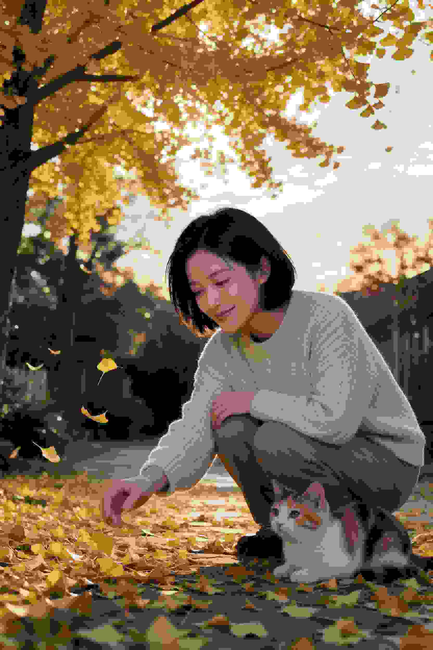 我的青春恋爱